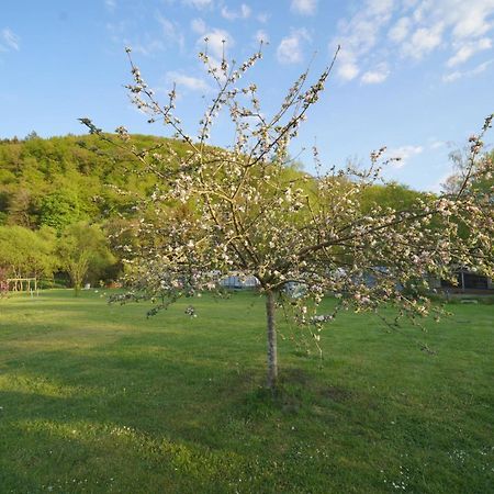Safaritent Op Camping Berkel Bockholtz Kültér fotó